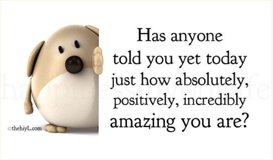 Best Sellers Magnet Set