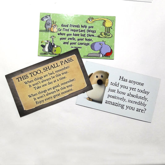 Best Sellers Magnet Set