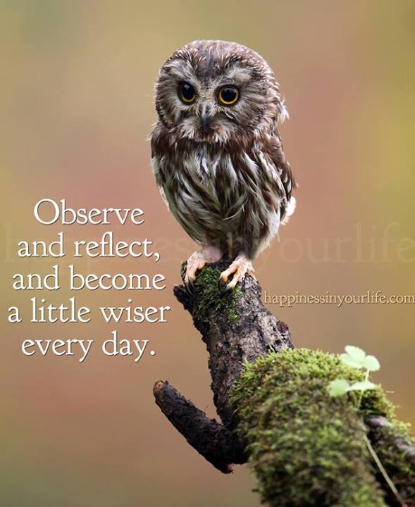 Observe and Reflect - Signed Inspirational Lithograph Print 8x10