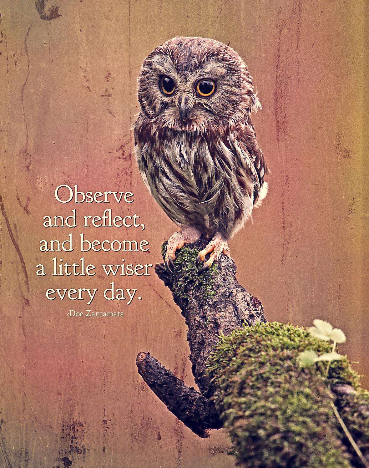 Observe and Reflect - Signed Inspirational Metallic Photo Print 8x10