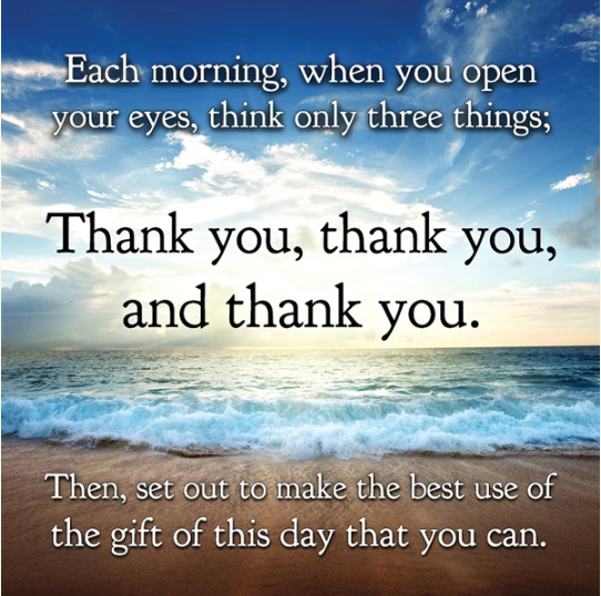 Gratitude Magnet Set