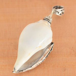 Pitcher Conch and Sterling Silver Pendant