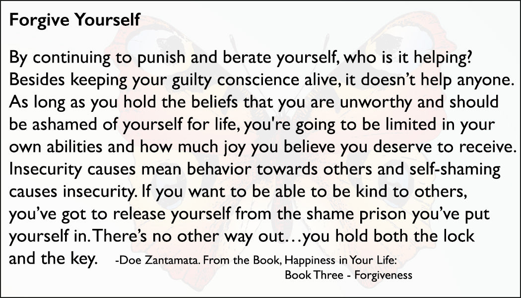 Happiness in Your Life - Book Three: Forgiveness by Doe Zantamata