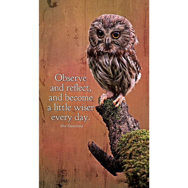 Little Wiser Owl Magnet